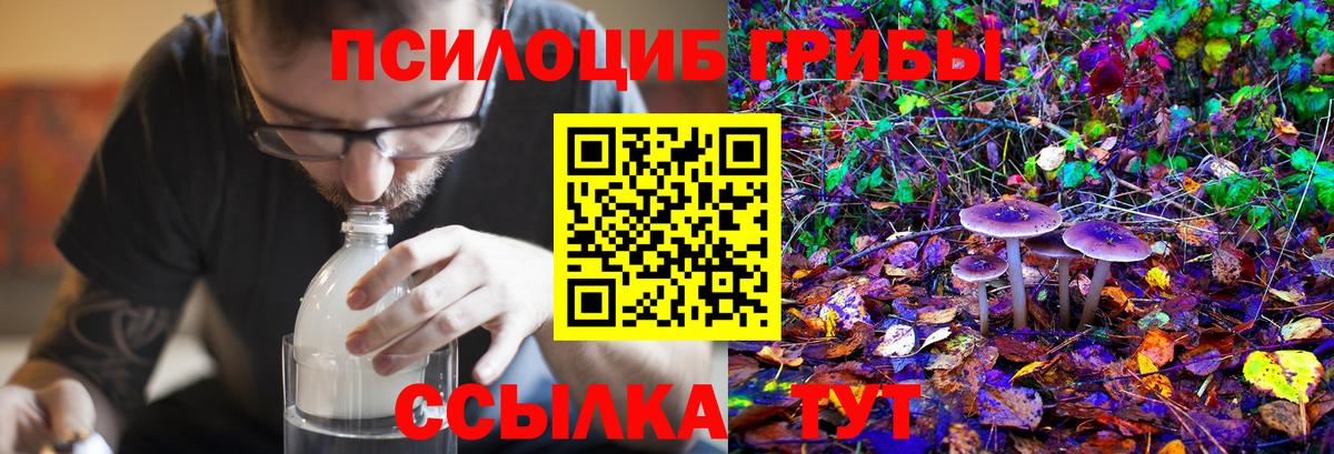 ГАШИШ Северобайкальск