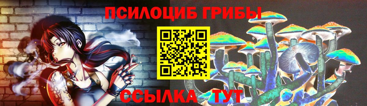 Псилоцибиновые грибы Magic Shrooms Северобайкальск